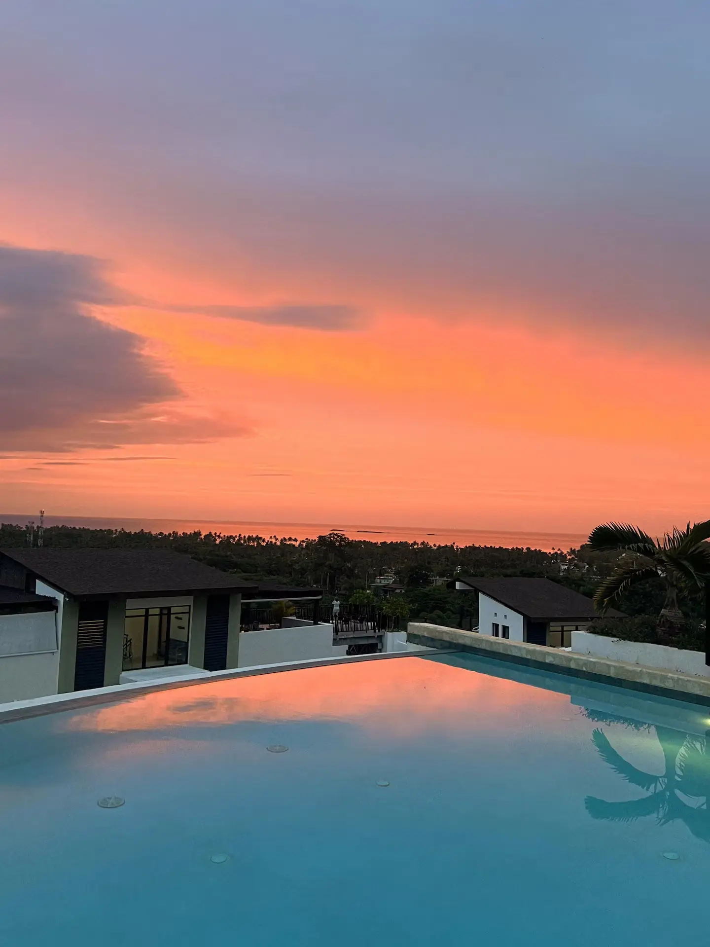 Community drive in lush tropical surroundings